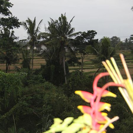 Ogek Home Stay Ubud Exteriör bild