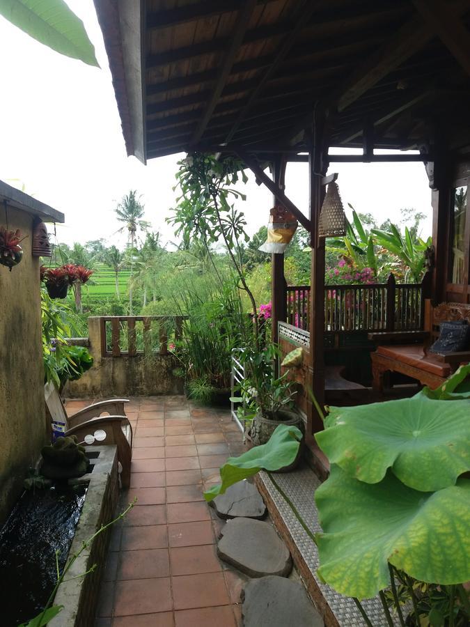 Ogek Home Stay Ubud Exteriör bild