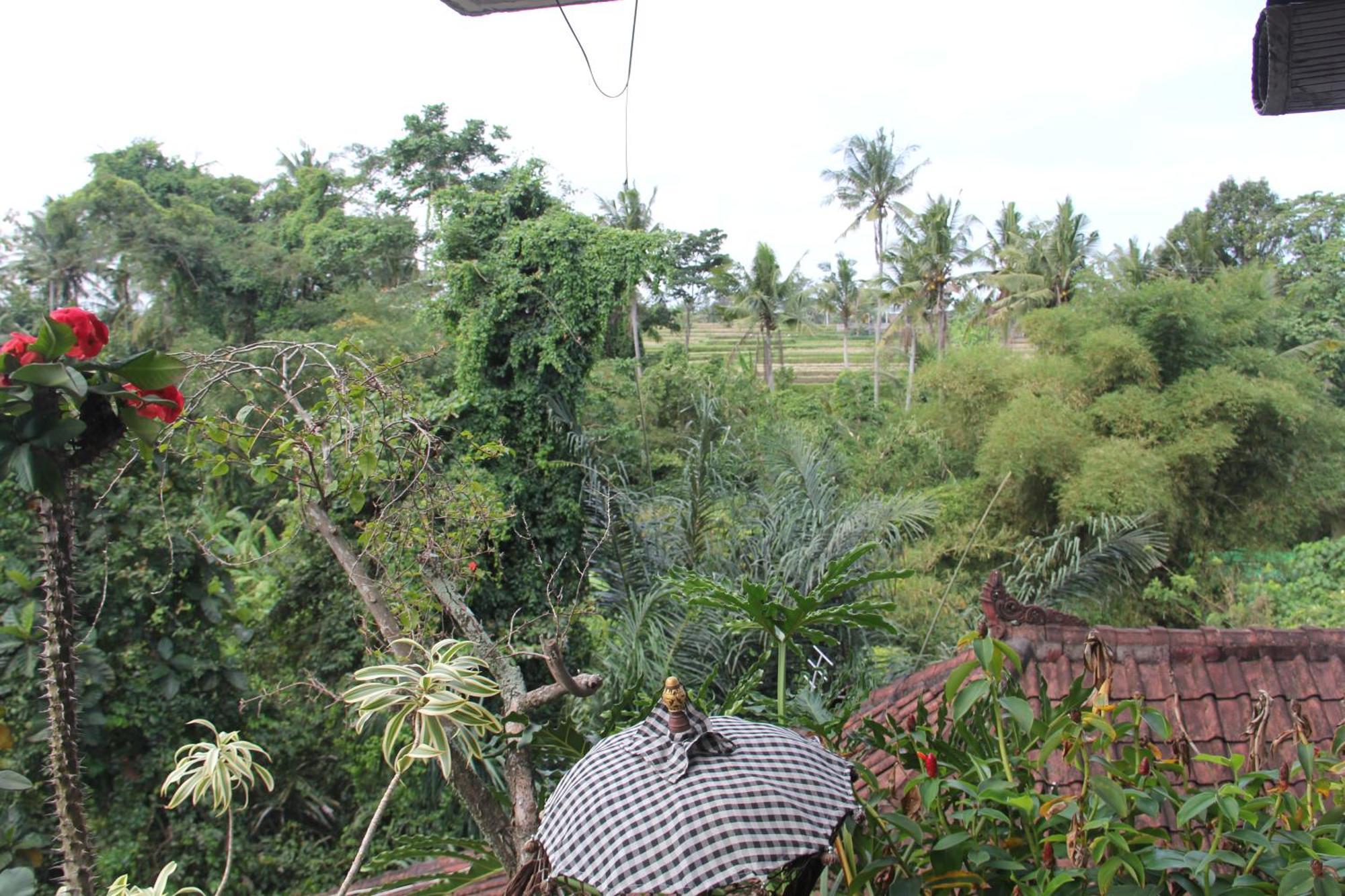 Ogek Home Stay Ubud Exteriör bild